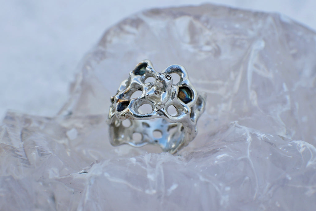 Anillo glaciar
